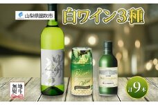 白ワイン 瓶 缶 飲み比べ 瓶1本+缶2種8本 モンデ酒造 177-4-046