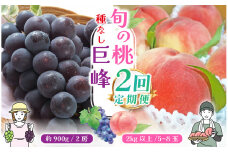 ＜25年発送先行予約＞【山梨県産 旬の果物 定期便】旬の桃 種無し巨峰 2回送り 180-009 ｜ぶどう 桃 種無し 巨峰 たねなし 種なし 発送 定期便 定期 笛吹市 山梨県 フルーツ 果物 ぶどう 葡萄 おすすめ 果物定期便 フルーツ もも 桃 モモ 産地 笛吹市 笛吹 葡萄 国産 ぶどう 人気 国産 デザート 甘い ランキング 2回 期間限定 山梨県笛吹市 ｜