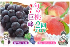 ＜25年発送＞【山梨県産 旬の果物 定期便】旬の桃 種無し巨峰 2回送り 180-009 ｜ぶどう 桃 種無し 巨峰 たねなし 種なし 発送 定期便 定期 笛吹市 山梨県 フルーツ 果物 ぶどう 葡萄 おすすめ 果物定期便 フルーツ もも 桃 モモ 産地 笛吹市 笛吹 葡萄 国産 ぶどう 人気 国産 デザート 甘い ランキング 2回 期間限定 山梨県笛吹市 ｜