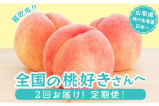 ＜25年発送先行予約＞【山梨県産 旬の桃 定期便 2回送り】計4kg以上 2kg以上(5～8玉)×2 ★ 180-007