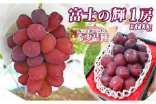 ＜25年発送先行予約＞山梨県産 富士の輝 1房（約600g） 180-011