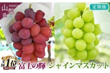 ＜25年発送先行予約＞【山梨県産 旬の果物 定期便】 シャインマスカット 富士の輝  2回送り 180-012 | ぶどう 山梨 種無し 種なし シャインマスカット 富士の輝 ブラックシャイン ぶどう定期便 葡萄定期便 発送 定期便 定期 笛吹市 山梨県 フルーツ 果物 ぶどう 葡萄 おすすめ フルーツ定期便 産地 笛吹市 笛吹 国産 2回 期間限定 山梨県笛吹市  |