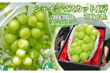 ＜25年発送先行予約＞山梨県産 大房 シャインマスカット1房（700g以上） 180-001