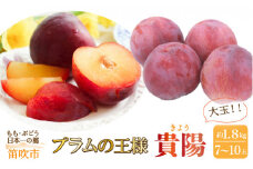 ＜2024年発送＞笛吹市産　貴陽　約1.8kg　（大玉7～10玉） 205-008