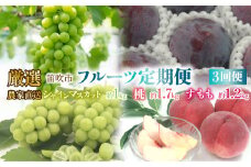 ＜25年発送先行予約＞笛吹市産　厳選!農家直送「フルーツ定期便3回便」 205-011