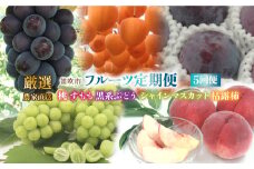 ＜25年発送先行予約＞笛吹市産　厳選!農家直送「フルーツ定期便5回便」 205-013