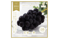 ＜25年発送先行予約＞山梨県笛吹市産　旬の採れたてピオーネ　約1kg　2～3房 105-014