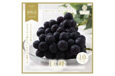 ＜25年発送先行予約＞山梨県笛吹市産　旬の採れたて巨峰　約1kg　2～3房 105-015