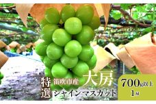 ＜25年発送先行予約＞山梨県笛吹市 特選 旬の採れたてシャインマスカット 700g以上　1房 105-013
