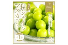 ＜25年発送先行予約＞山梨県笛吹市産　シャインマスカット訳有粒　1kg以上 105-018