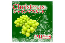 ＜25年発送先行予約＞冬季限定！！ 山梨県笛吹市産 クリスマスシャインマスカット 約1.0kg 2～3房 105-020