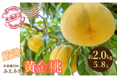 <25年発送先行予約>厳選！山梨県笛吹市産 黄金桃 約2kg (5～8玉) 156-012