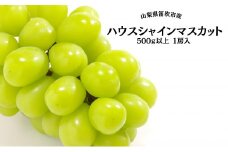 ＜25年発送先行予約＞葡萄の一大産地！笛吹市産ハウスシャインマスカット500g以上 167-008