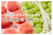 ＜25年発送先行予約＞ 笛吹市産 大玉桃6個と大粒シャインマスカット2房の2種セット【定期便】 193-012