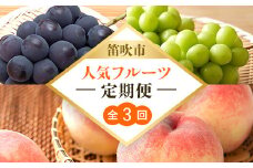 【定期便】笛吹市人気フルーツ定期便全３回 168-100