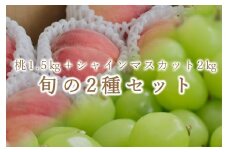 ＜25年発送先行予約＞ 笛吹市産 ご家庭用 桃1.5kgとシャインマスカット2kgの2種セット【定期便】 193-013