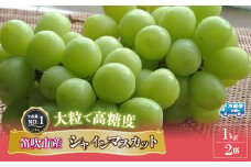 ＜25年発送先行予約＞山梨県産　シャインマスカット　2房　合計約1kg　※冷蔵　送料無料 203-013