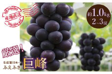 ＜25年発送先行予約＞厳選！山梨県笛吹市産 巨峰 約1.0kg（2～3房） 156-011