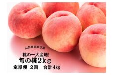 ＜25年発送先行予約＞笛吹市産旬の桃満喫コース2kg×2回発送 167-009