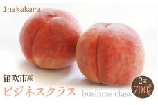 ＜2024年発送＞【笛吹市産】Inakakara 一宮町の桃 ビジネスクラス 2玉(1玉約350g)  192-018