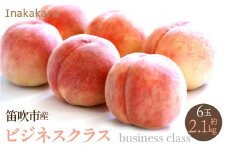 ＜2024年発送＞【笛吹市産】Inakakara 一宮町の桃 ビジネスクラス 6玉(1玉約350g) 192-020