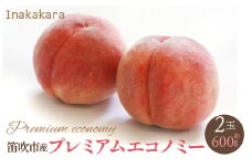 ＜2024年発送＞【笛吹市産】Inakakara 一宮町の桃 プレミアムエコノミー 2玉(1玉約300g) 192-021
