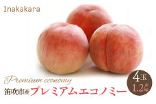 ＜2024年発送＞【笛吹市産】Inakakara 一宮町の桃 プレミアムエコノミー 4玉(1玉約300g) 192-022