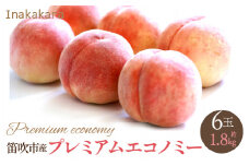 ＜2024年発送＞【笛吹市産】Inakakara 一宮町の桃 プレミアムエコノミー 6玉(1玉約300g) 192-023