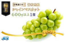 ＜2024年発送＞笛吹市産シャインマスカット（極上）1房　600g以上 210-006
