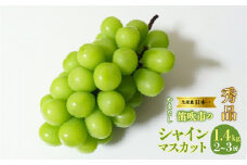 <25年発送先行予約>】山梨県　笛吹産　シャインマスカット　1.4kg（2～3房）秀品 215-009