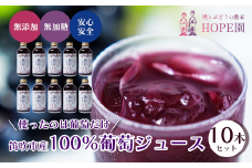 【ふるさと納税】100％ぶどうジュース180ｍｌ×10本セット ふるさと納税 ぶどうジュース 果汁100％ 入金確認後10日以内発送 10本セット 安心して飲める 無添加 無果糖 ポリフェノール ぶどう 葡萄 無着色 無香料 ギフト 入学祝い 卒業祝い 贈答 154-035