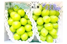 ＜25年発送先行予約＞『数量限定』ジュエルマスカットとシャインマスカット２房セット 167-010