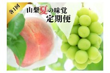 ＜25年発送先行予約＞『山梨夏の味覚定期便』笛吹市産旬の桃とシャインマスカット各１回 167-014