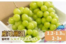 ＜2025年発送先行予約＞【順次発送】 産地厳選シャインマスカット1.2kg～1.3kg（2房～3房）※沖縄・離島配送不可※ 106-003｜シャインマスカット 発送  笛吹市 山梨県 フルーツ 果物 ぶどう 葡萄 大粒 シャインマスカット おすすめ シャインマスカット 贈答 ギフト 産地 笛吹市 シャインマスカット 笛吹 葡萄 国産 ぶどう 人気 国産 1.2kg 先行 予約 シャイン｜