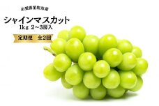 ＜25年発送先行予約＞葡萄の一大産地！笛吹市産シャインマスカット定期便×２回 167-015 ※沖縄・離島配送不可