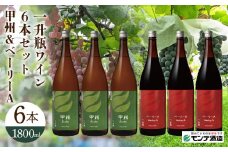 【モンデ酒造】 一升瓶ワイン6本セット（甲州、ベーリーA各3本） 018-043