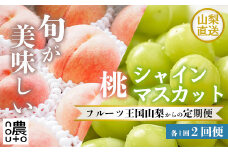定期便2回　シャインマスカット500g（1房）・桃1kg以上　山梨県　笛吹市　「フルーツ 果物」　種なしぶどう　白桃　もも　特秀品　粒が大きい　秀品　高評価 人気 ランキング おすすめ　コスパ　甘い　高糖度　 美味しい　デザート　数量限定　送料無料　産地直送　フルーツ定期便　果物定期便　山梨県産　ふるさと納税　販売：KEIPE株式会社 154-039