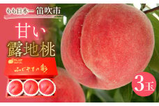 ＪＡふえふき露地桃3玉　高糖度（約1.0㎏） 010-015