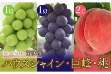 ＪＡふえふき　ハウスシャイン・巨峰・桃セット（シャイン1房約400ｇ・巨峰1房約400ｇ・桃2粒約200ｇ） 010-016