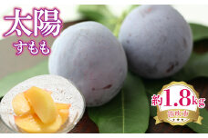 ＜25年発送先行予約＞太陽（すもも）　約1.8kg 222-003