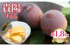 ＜25年発送先行予約＞貴陽（すもも）　約1.8kg 222-004
