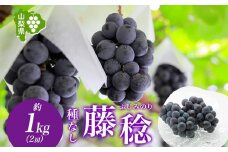 ＜2025年発送＞山梨県 笛吹市 藤稔 2房 約1kg 177-6-003 ｜藤稔 葡萄 ぶどう 発送 山梨 笛吹市 果物 フルーツ 新鮮 旬 発送 ブドウ 国産 山梨 笛吹市 葡萄 高級 ぶどう 山梨県笛吹市 果物 黒葡萄 高級品種 ブドウ 先行 贈答用 贈答 ギフト｜