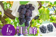 ＜2025年発送＞山梨県 笛吹市 巨峰 2房 約1kg 177-6-002 ｜巨峰 葡萄 ぶどう 発送 山梨 笛吹市 果物 フルーツ 新鮮 旬 発送 ブドウ 国産 山梨 笛吹市 葡萄 高級 ぶどう 山梨県笛吹市 果物 黒葡萄 高級品種 ブドウ 先行 贈答用 贈答 ギフト｜