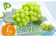 ＜2025年発送＞山梨県 笛吹市 シャインマスカット 2房 約1kg 177-6-004 ｜シャインマスカット 葡萄 ぶどう 発送 山梨 笛吹市 果物 フルーツ 新鮮 旬 発送 ブドウ 国産 山梨 笛吹市 葡萄 高級 ぶどう 山梨県笛吹市 果物 白葡萄 高級品種 ブドウ 先行 贈答用 贈答 ギフト｜