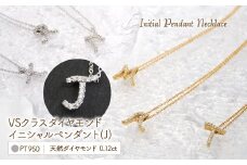 Pt950  ダイヤイニシャル  ＰＮ ( J ) 管理番号20208005 221-002-J
