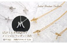 Pt950  ダイヤイニシャル  ＰＮ ( M ) 管理番号20208007 221-002-M