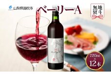 《無地熨斗 対応可》ベーリーA 720ml×12本 177-4-070