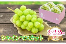 ＜25年発送先行予約＞シャインマスカット 2～2.2kg 222-008-2  | シャインマスカット 発送 笛吹市 山梨県 フルーツ 果物 ぶどう 葡萄 大粒 シャインマスカット おすすめ シャインマスカット 贈答 ギフト 産地 笛吹市 シャインマスカット 山梨 笛吹 葡萄 国産 ぶどう 人気 国産 先行 予約 シャイン | 