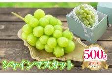 ＜25年発送先行予約＞シャインマスカット 500g 222-008-4 | シャインマスカット お試し 笛吹市 山梨県 フルーツ 果物 ぶどう 葡萄 大粒 シャインマスカット おすすめ シャインマスカット 贈答 ギフト 産地 笛吹市 シャインマスカット 山梨 笛吹 葡萄 国産 ぶどう 人気 国産 先行 予約 シャイン |