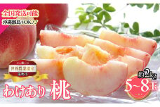 ＜25年発送＞山梨県笛吹市産　わけあり桃　約2kg　5玉～8玉 223-002